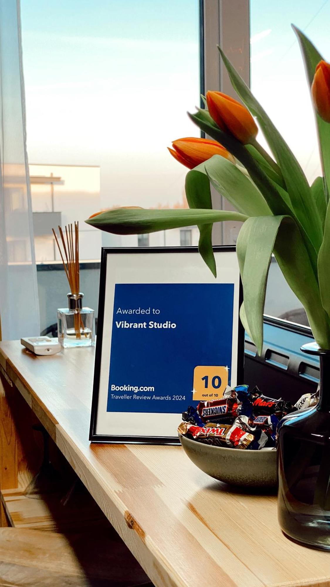 Vibrant Studio Temeşvar Dış mekan fotoğraf
