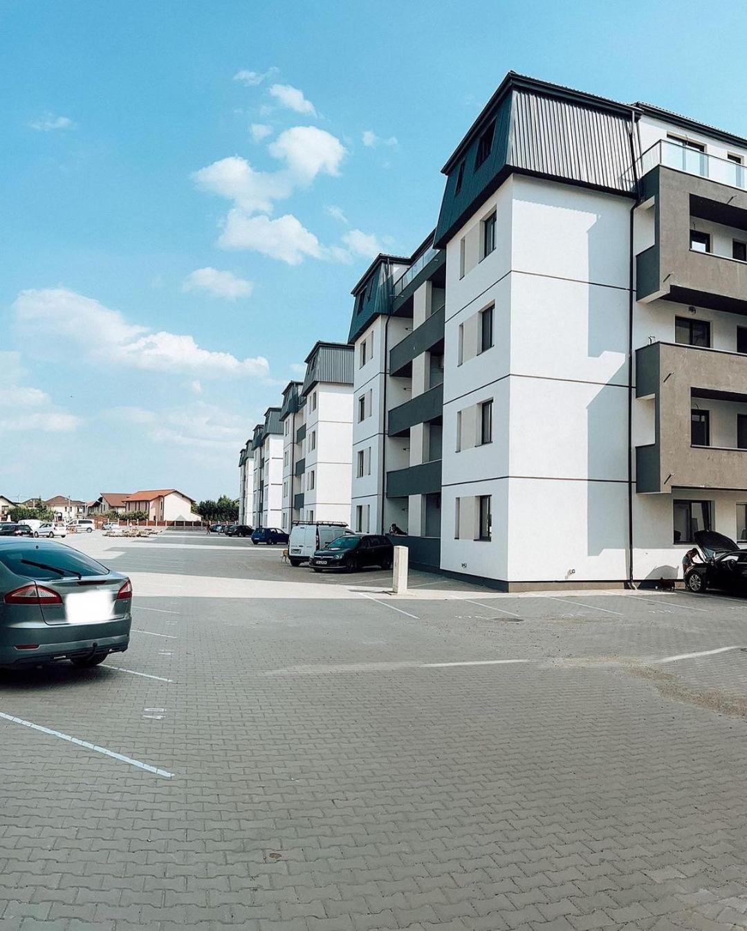 Vibrant Studio Temeşvar Dış mekan fotoğraf